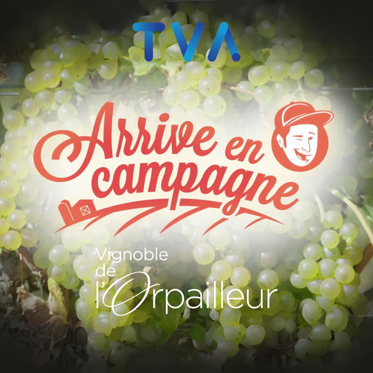 l'Orpailleur x Arrive en campagne 2024 épisode 3