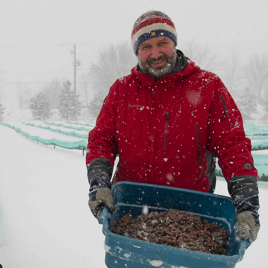 Le Vin de Glace du Québec "le vin de l'extrême"