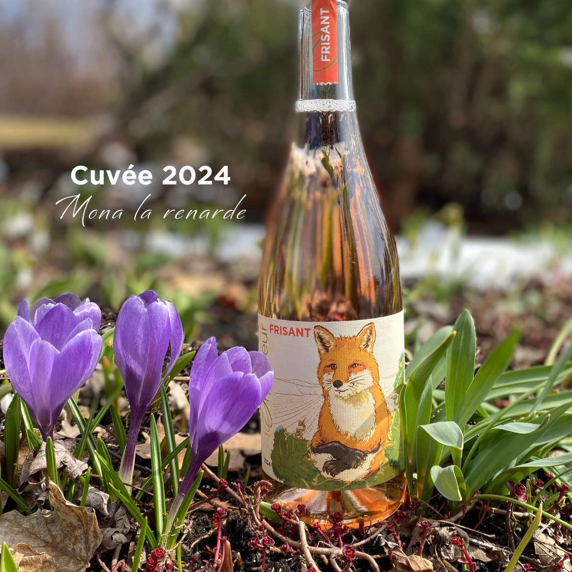 l'Orpailleur Frisant