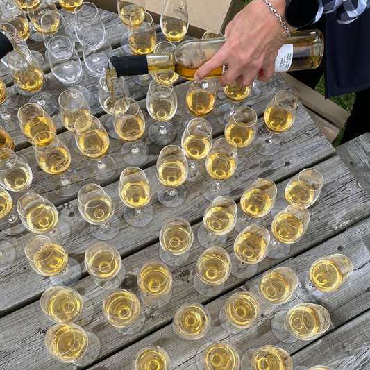 Guided tour and group tasting