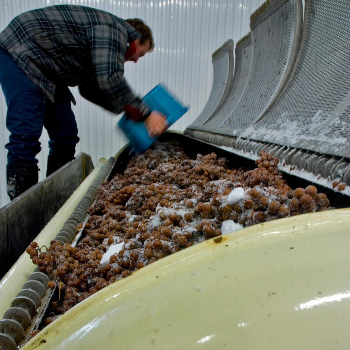 l'Orpailleur Vin de Glace.