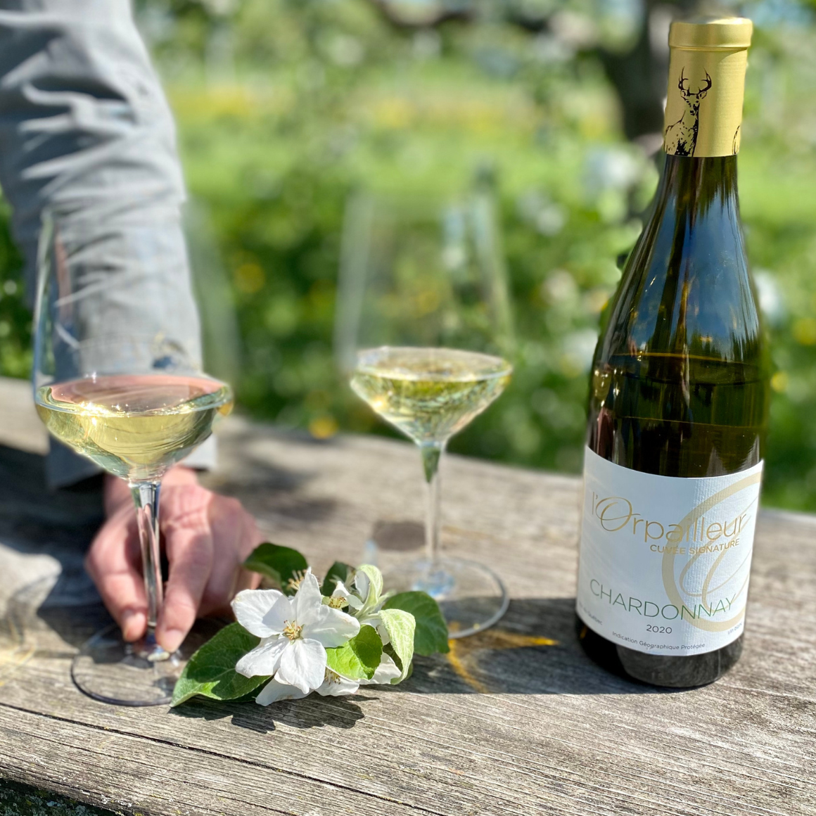 l'Orpailleur Chardonnay.