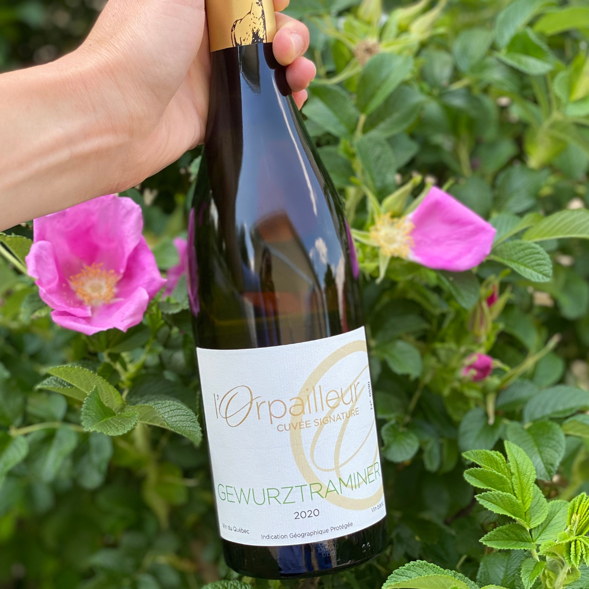 l'Orpailleur Gewurztraminer.