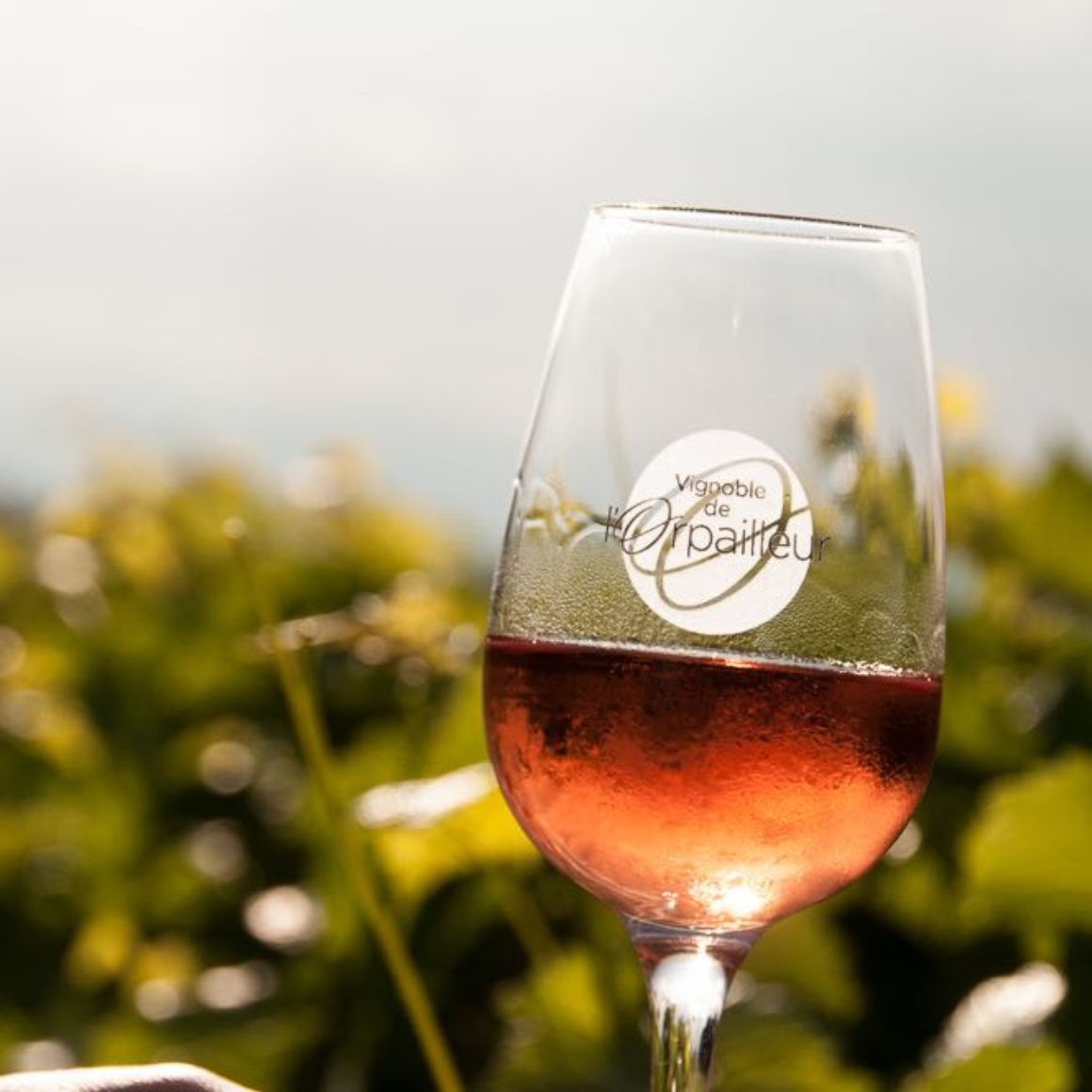 l'Orpailleur Rosé.