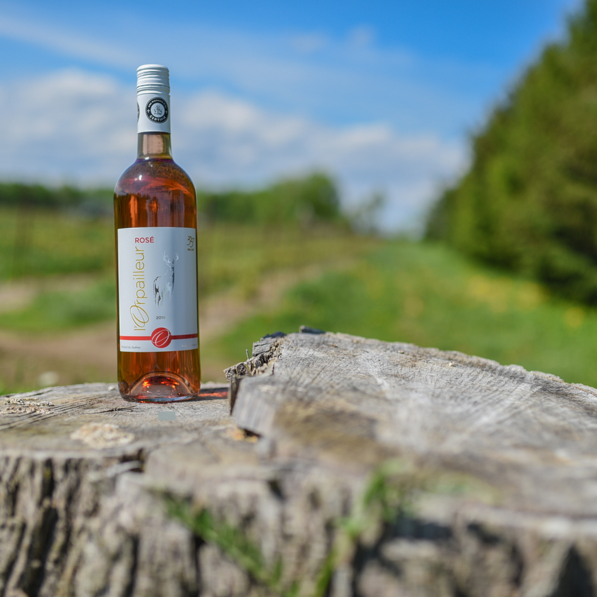 l'Orpailleur Rosé.