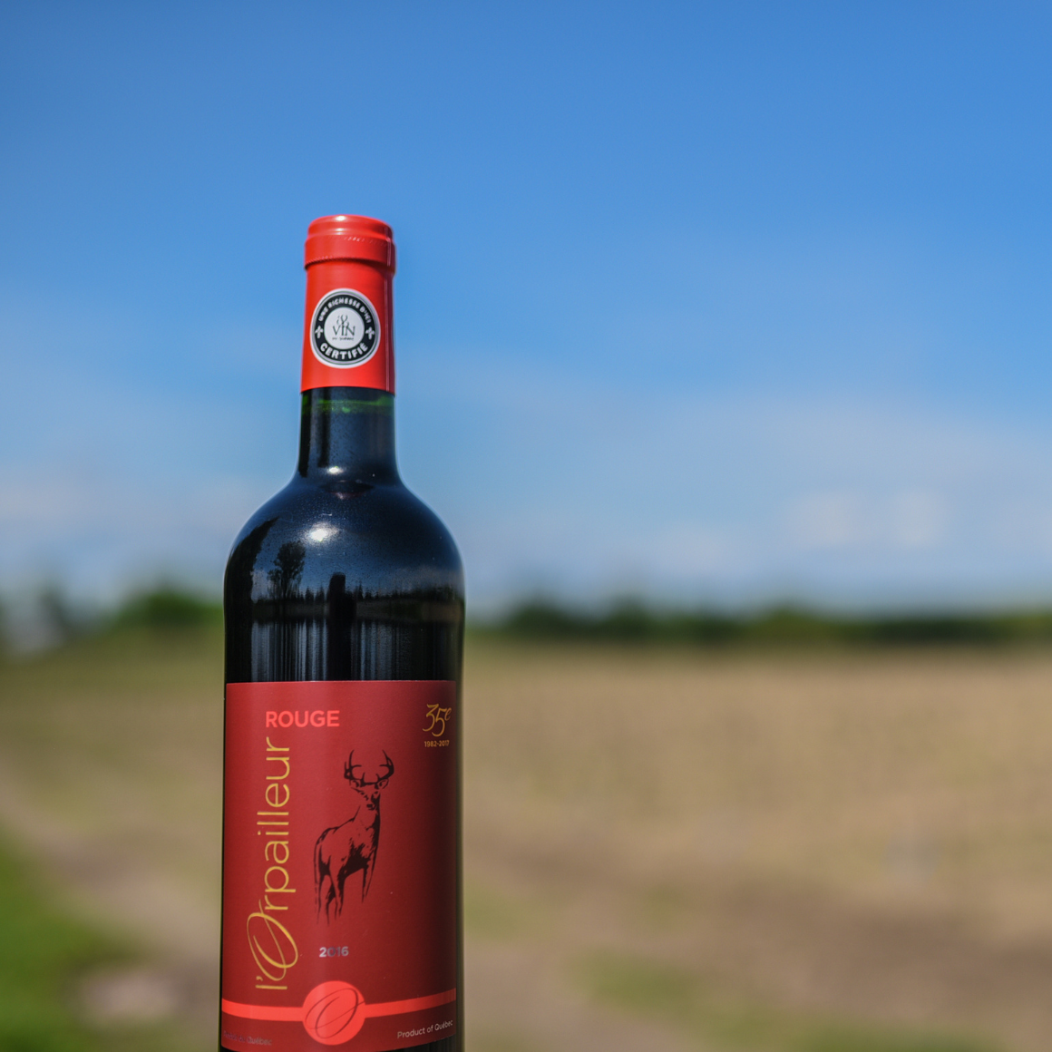l'Orpailleur Rouge.