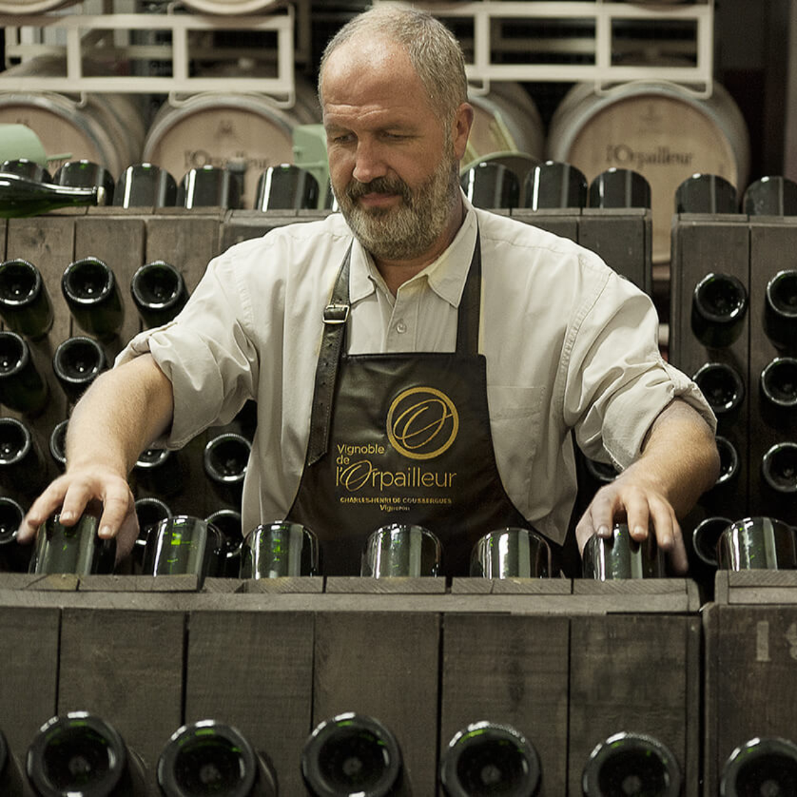 l'Orpailleur Brut.