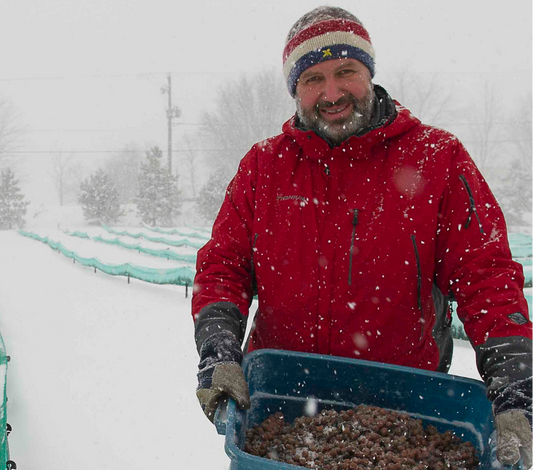 Le Vin de Glace du Québec "le vin de l'extrême"