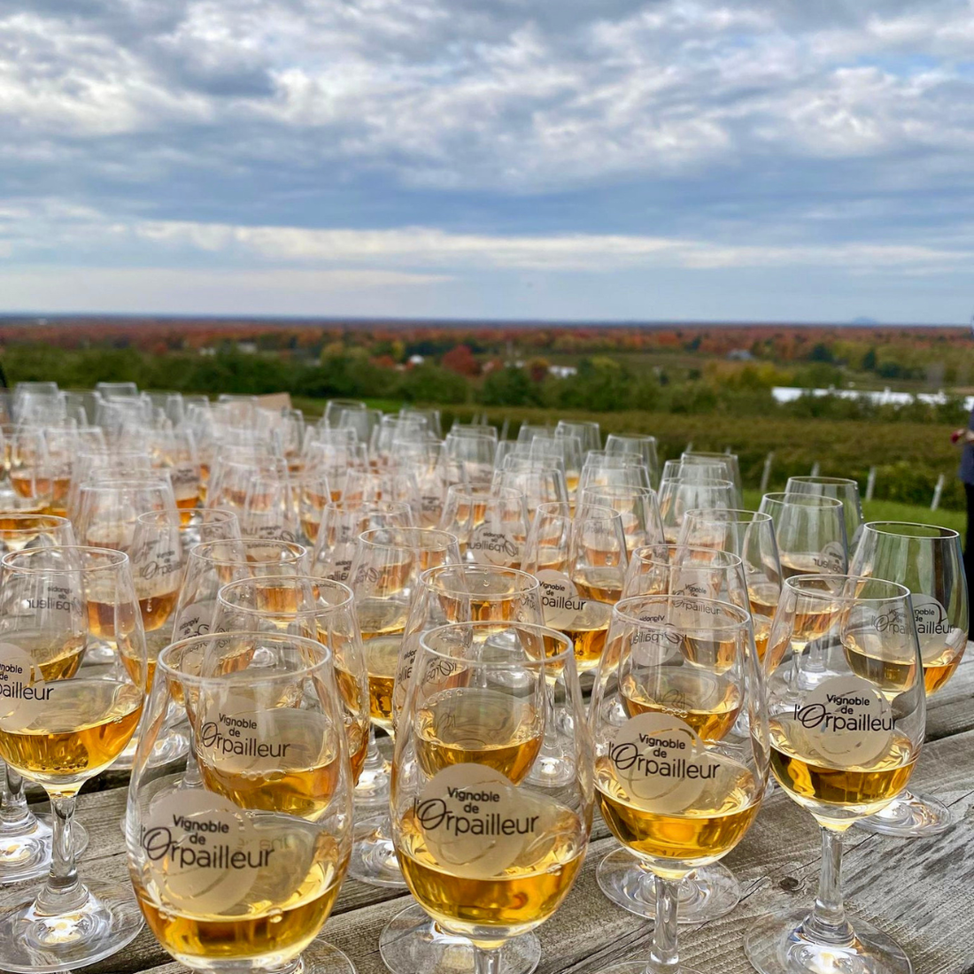 L’automne à l’Orpailleur : horaires, dégustations & escapade sur la Route des vins