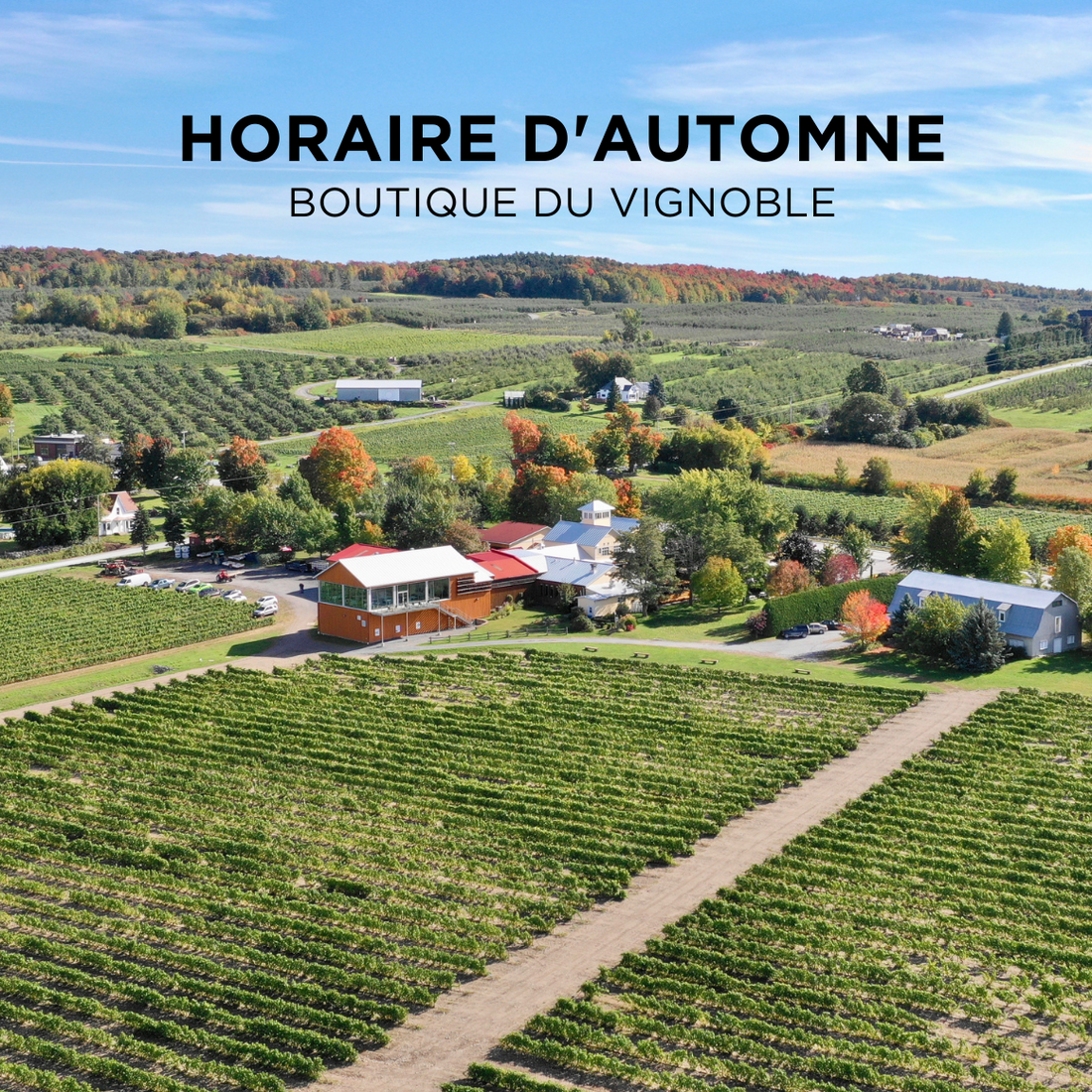 Horaire d'automne & activités