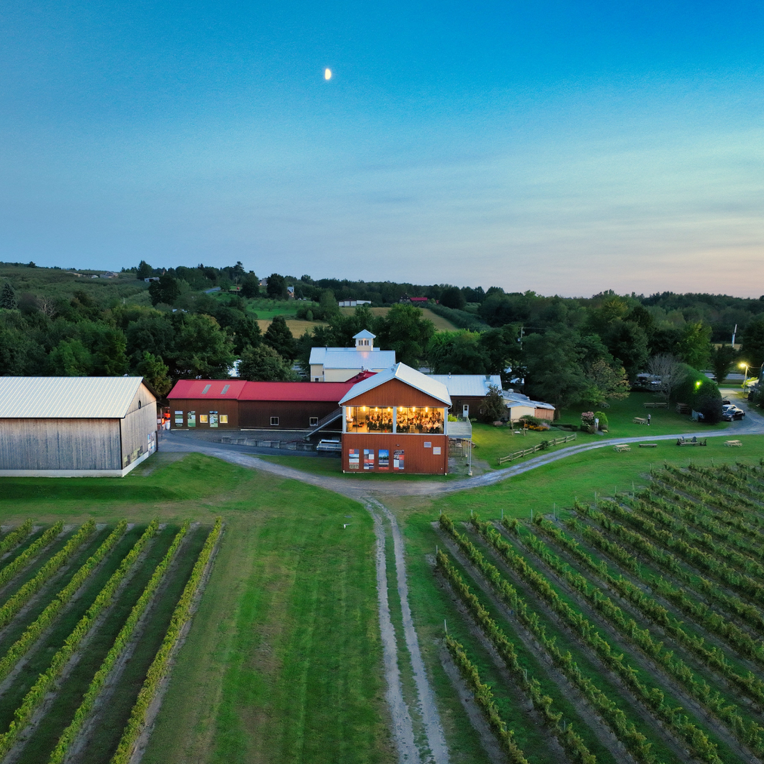 L'été au Vignoble de l’Orpailleur: horaires, activités et découvertes