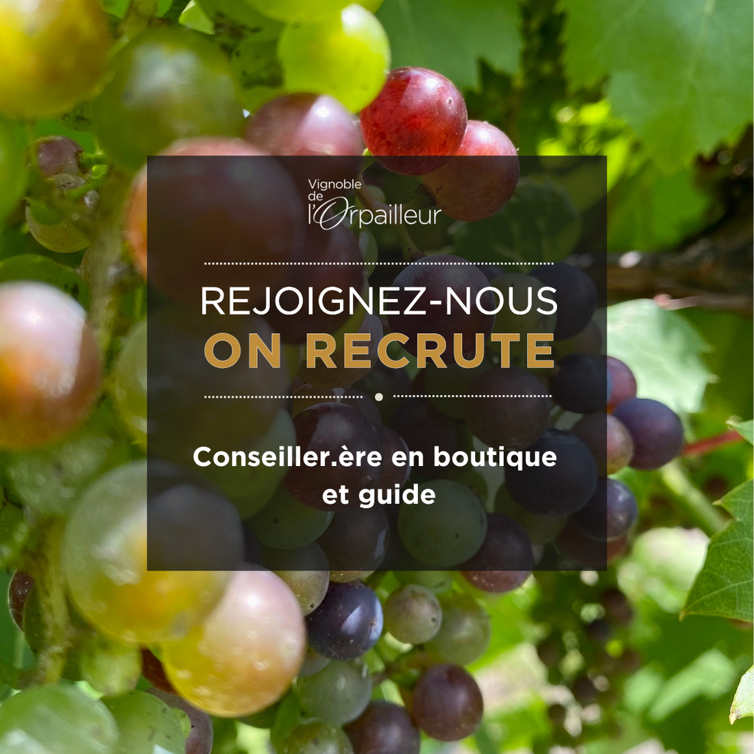 On recrute! Conseiller.ère en boutique et guide