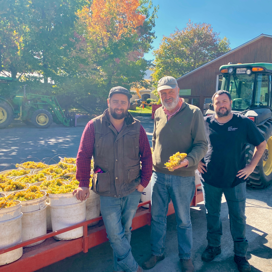Le Vignoble de l’Orpailleur célèbre sa 40ᵉ vendange